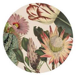Arte della parete | Pictea Cactus