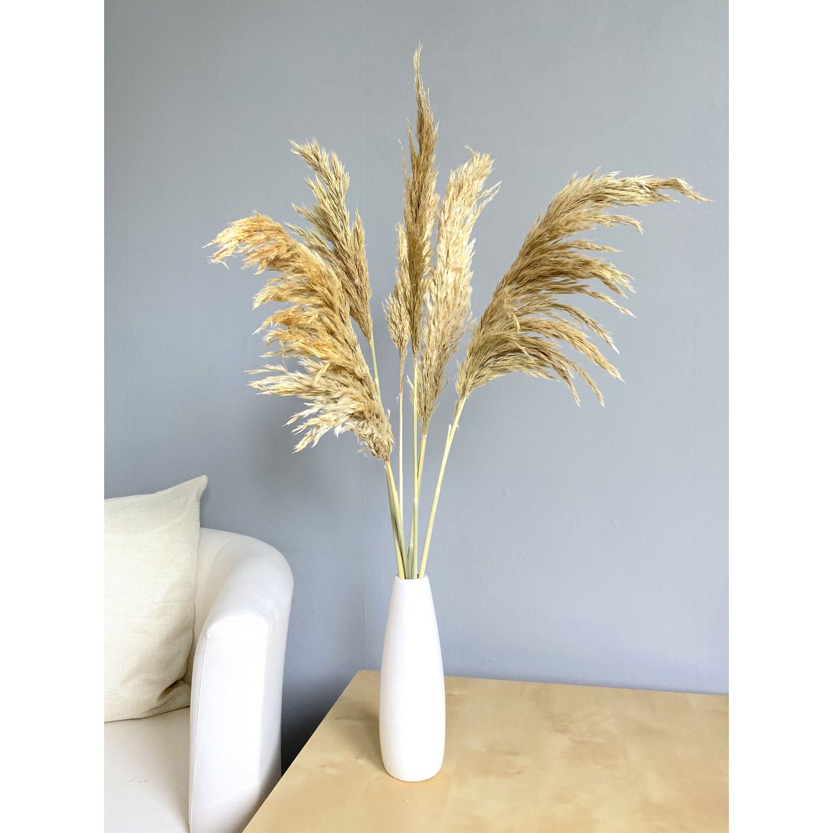 Pampas grass, 6 pieces / bunch, 70cm, beige