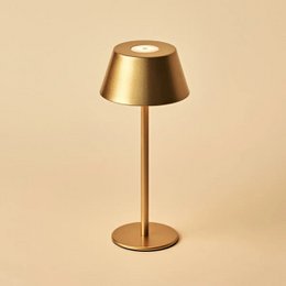 Milou Gold Rechargeable Table Lamp