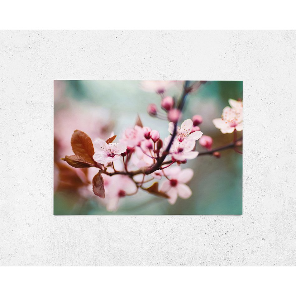 Postkarte Grußkarte Pflaumenblüte (PK_055)