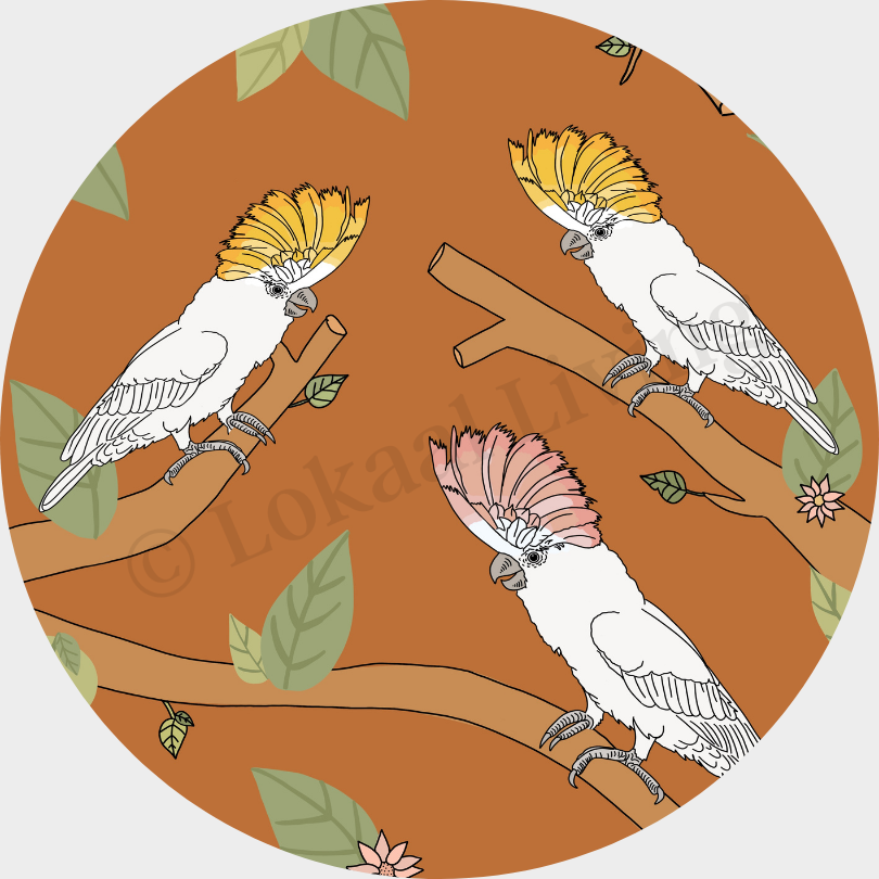 Wall circle Cockatoo color