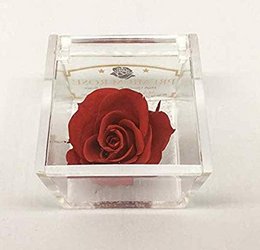 Eternal Red Scented Rose Cube 5 cm Lavet i Italien