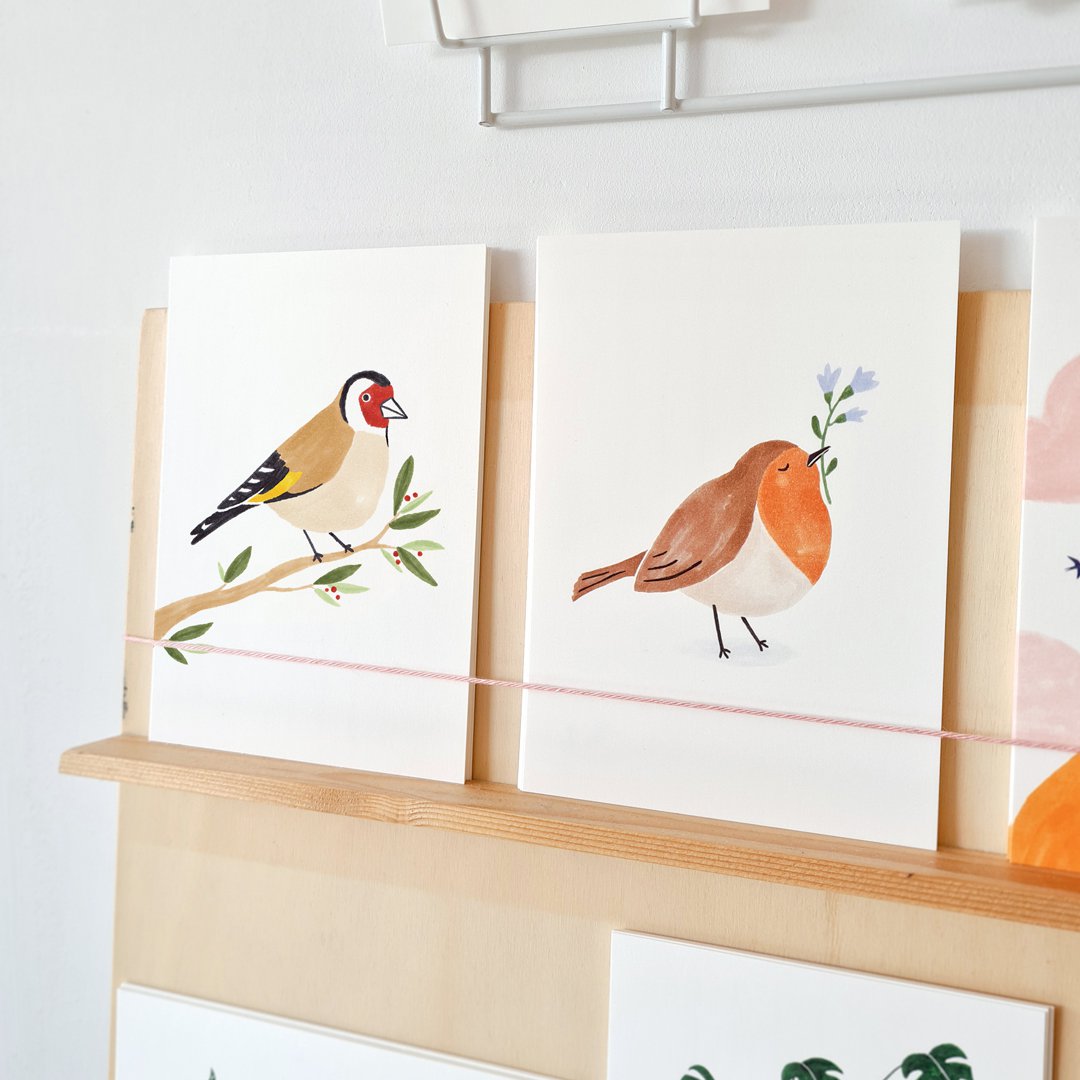 Postal | Petirrojo | Aves