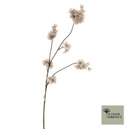 Prunus malaga spray grey 84cm