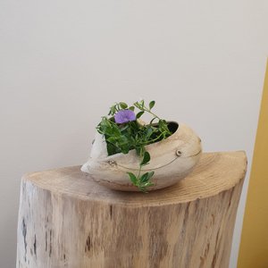 Plant bowl heart, ceramic, frost-proof, decoration, gift, unique