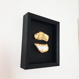 Double golden oysters in black wooden frame