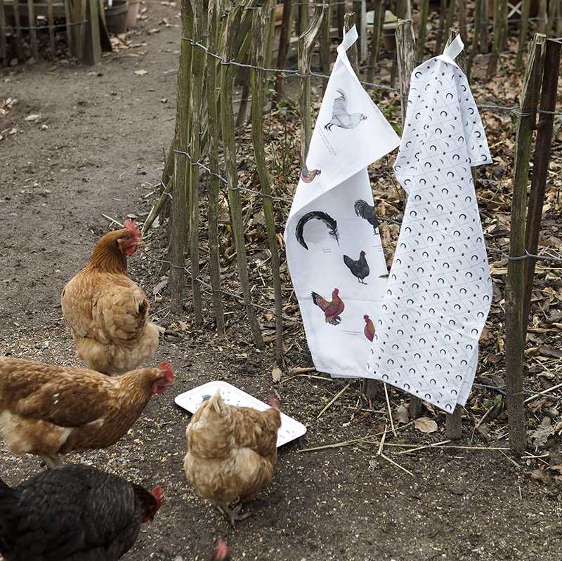 Organic tea towel - Chickens