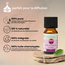 Synergy of essential oils - Escale en Provence - 10 ml - Use for Diffusion - Packaged in France