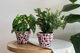 Paquet de bricolage Mosaic Flowerpot (2 pièces)