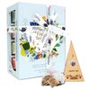 ETS - Teegeschenk mit Schleife "Wellness Tee Kollektion", BIO, 12 Pyramiden-Beutel
