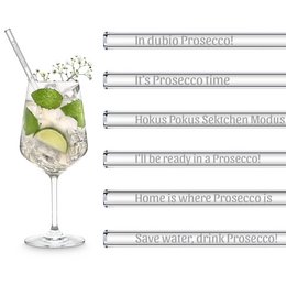 Prosecco Sprüche gravierte Glasstrohhalme mit 6 lustigen Sekt Trinksprüchen