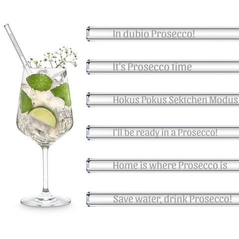 Prosecco Sprüche gravierte Glasstrohhalme mit 6 lustigen Sekt Trinksprüchen