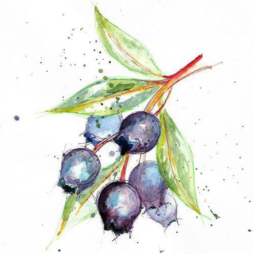 Crema spalmabile Fondente e Mirto di Sardegna (senza latte)