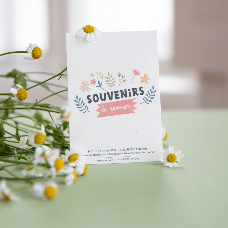Souvenirs om te zaaien - Pakje wilde bloemenzaden
