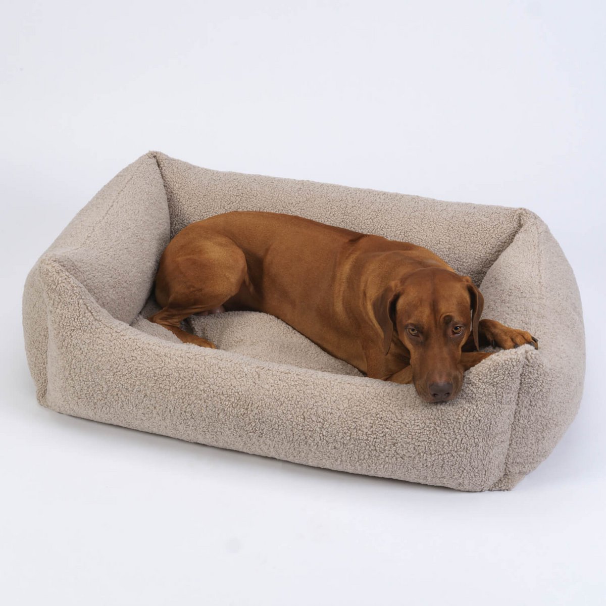 Hundebett Box Bett Paddy gravel
