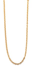 RVS ankerketting "Palynn", goudkleurig, 50 cm/2 mm
