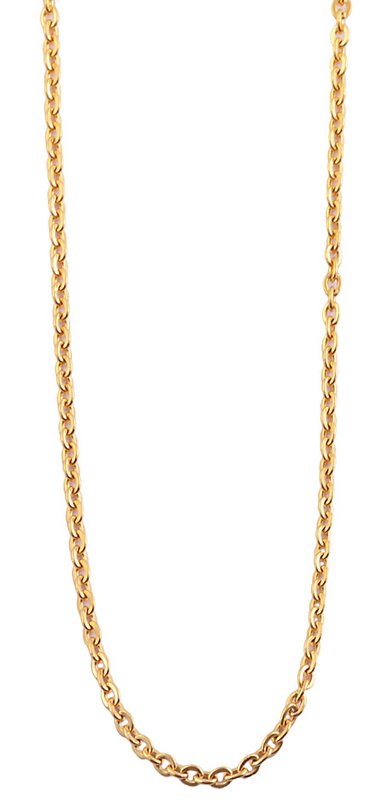 RVS ankerketting "Palynn", goudkleurig, 50 cm/2 mm