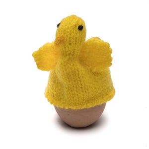 Egg warmer chick