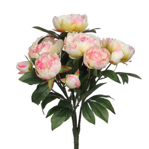 Bouquet of Peony Light Pink