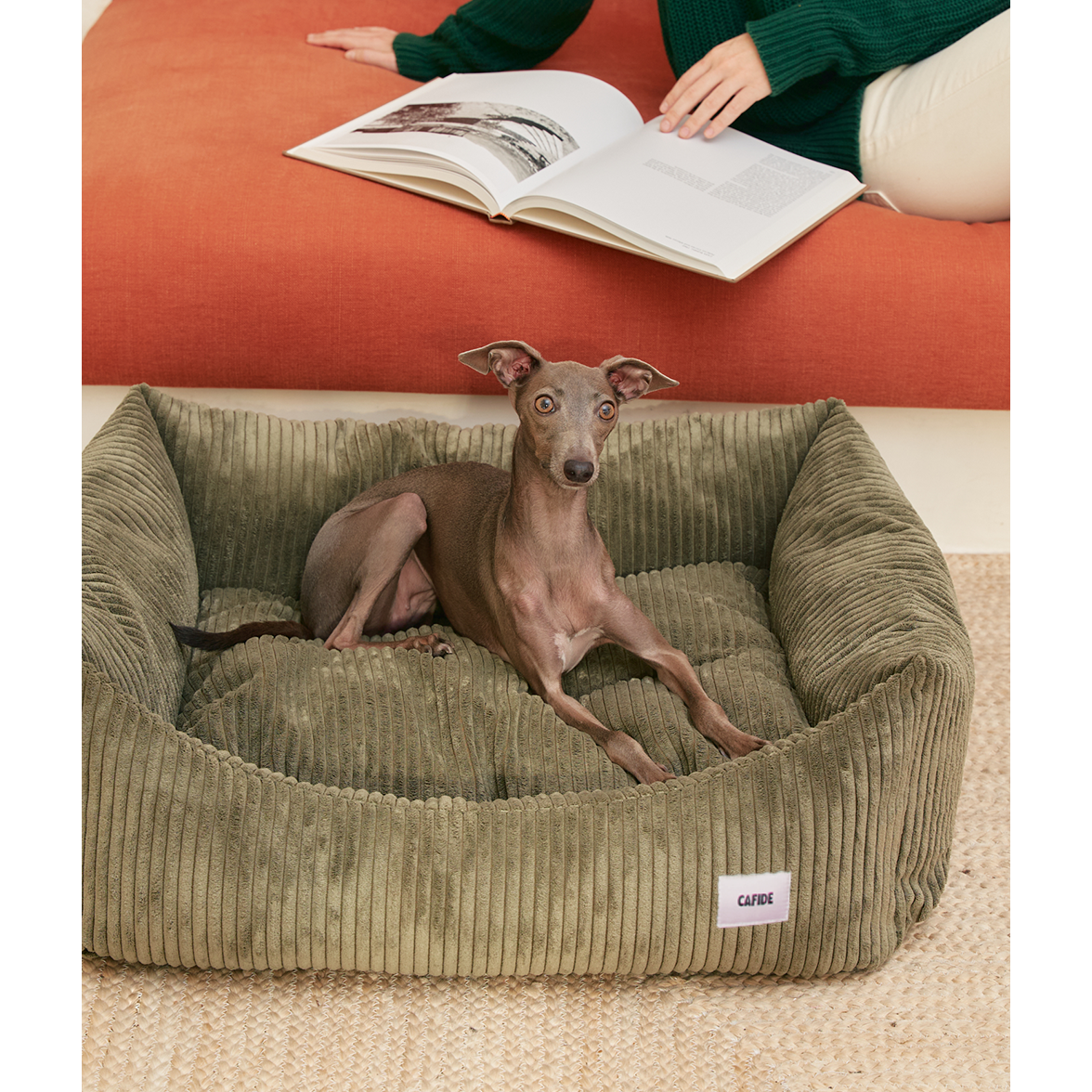 Green Corduroy Dog Bed, Snozy