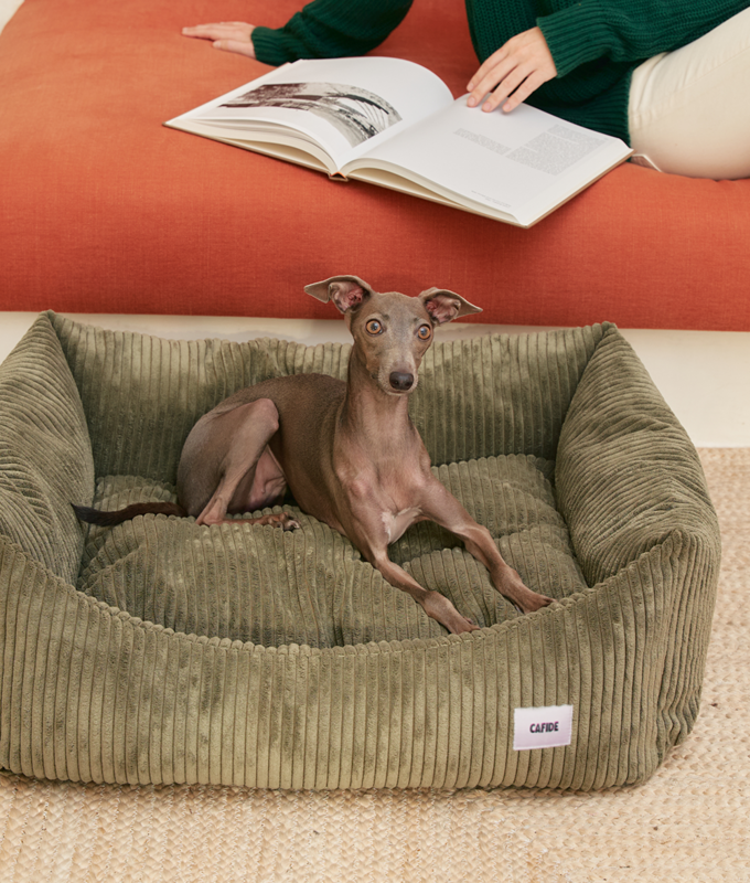 Cama Perro Pana Verde, Snozy