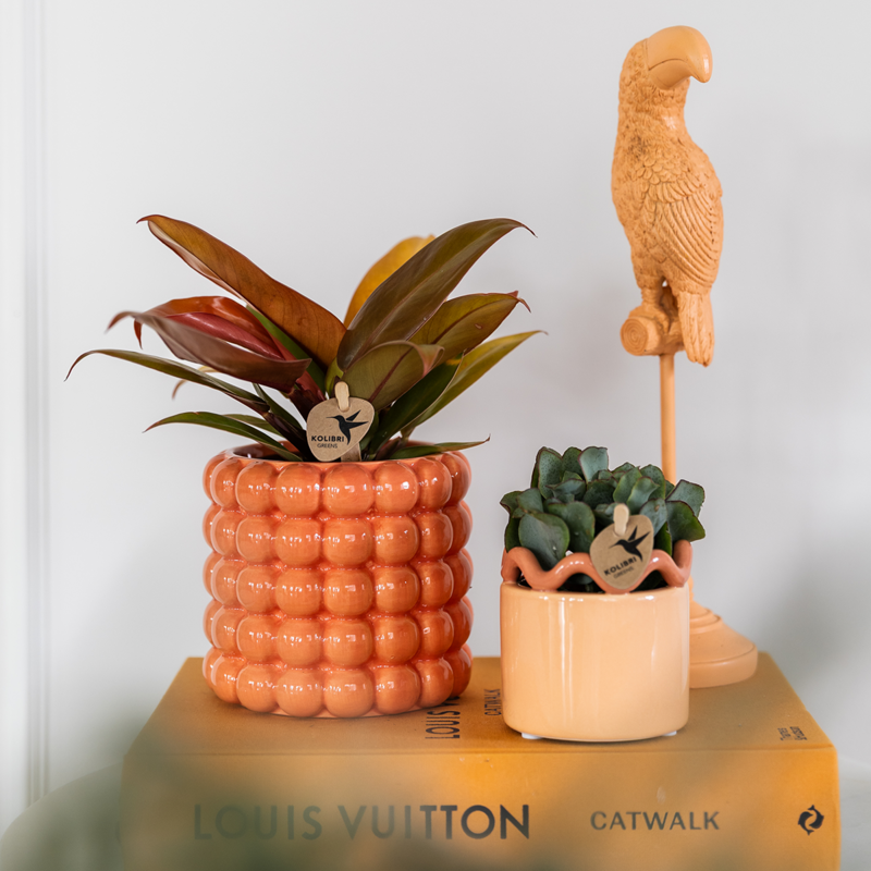 Kolibri Home | Mohn Sierpot - Orange - Ø9cm