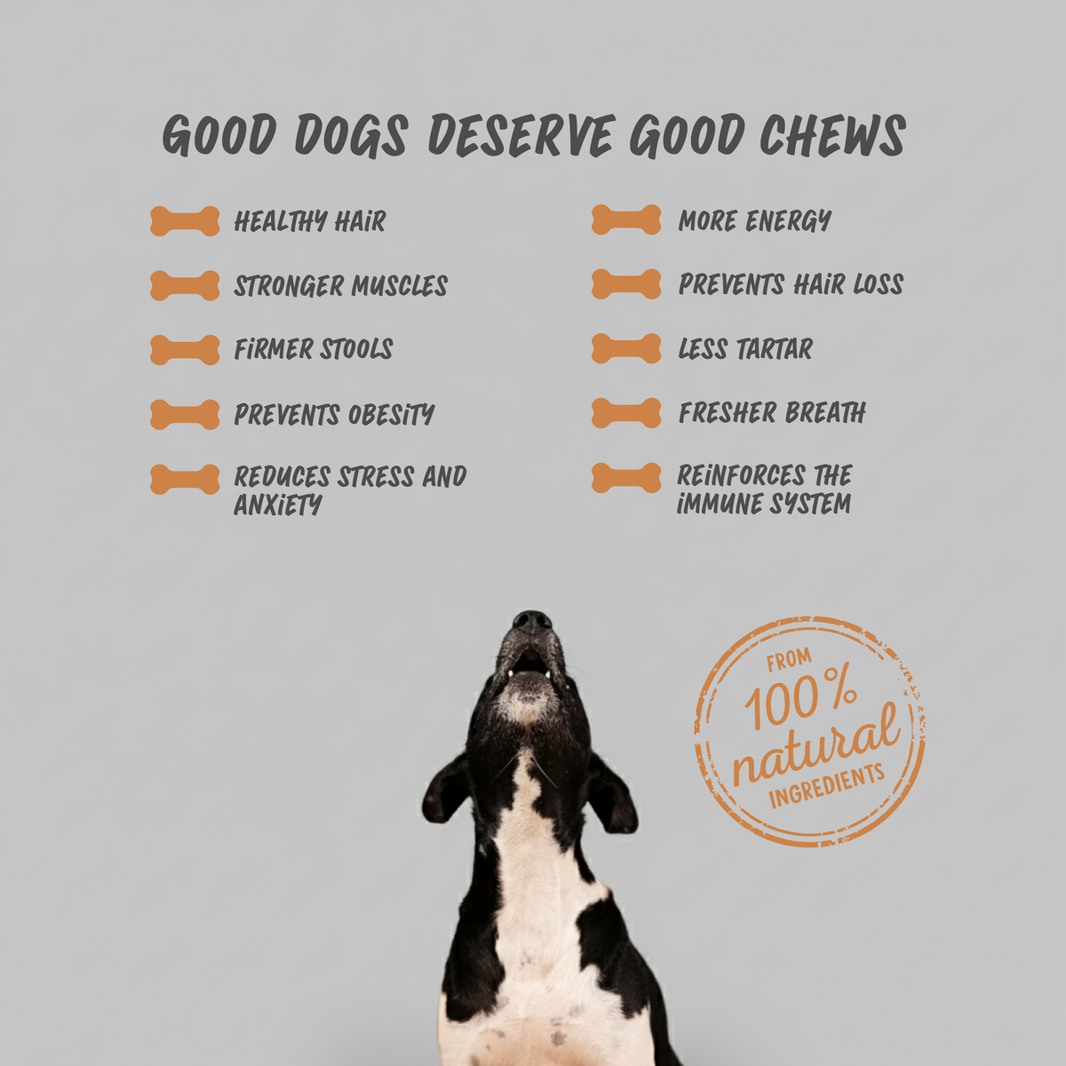 Laikabone Dog Dental Chew - Kaas & Pindakaas (DOOS)