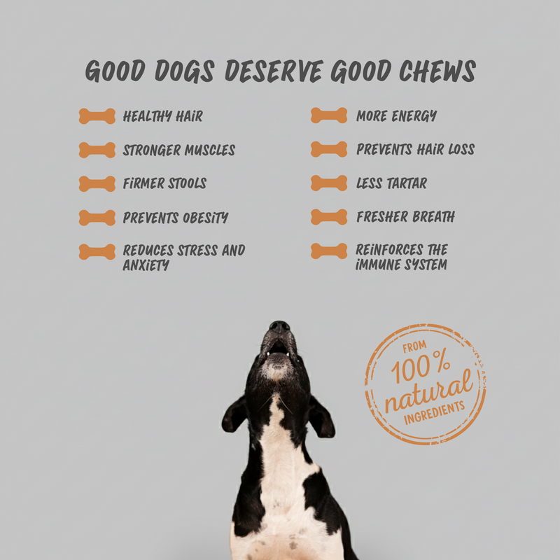 Laikabone Dog Dental Chew - Ost og jordnøddesmør (BOX)