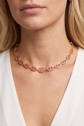 Roestvrij stalen ketting van marine mesh