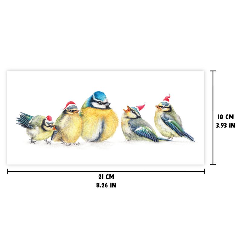 Tarjeta de Navidad, Tarjeta navideña de pájaros, Tarjetas de felicitación de animales