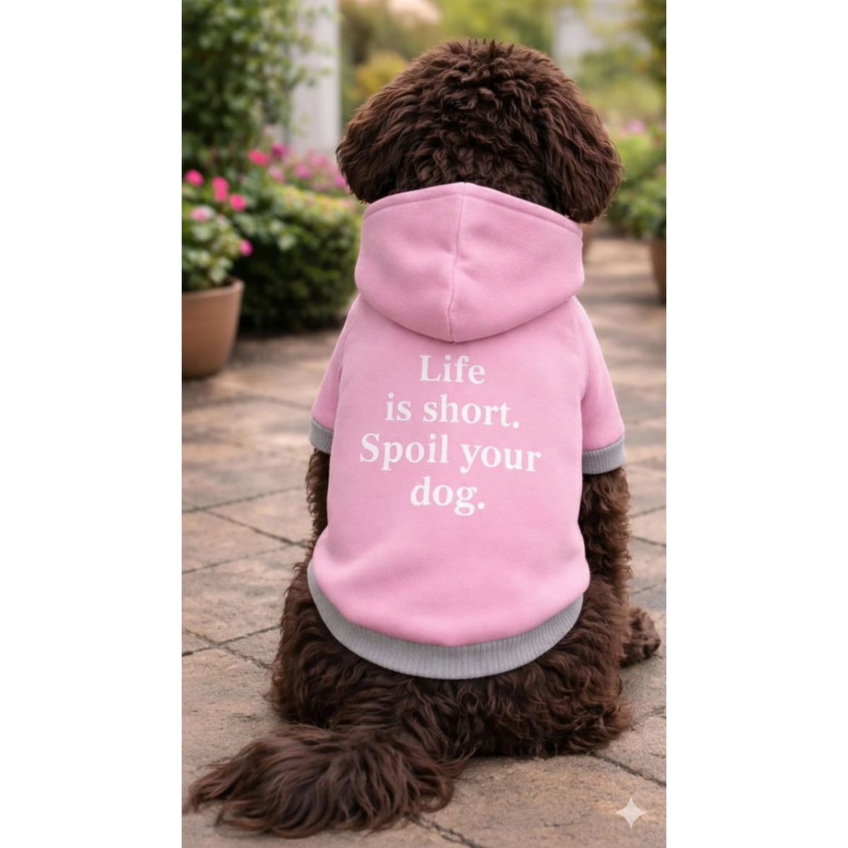 Alpha Dog Short Pink "Spoil Your Dog" Hoodie (5-Pc Set)