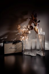 MIST SERIES SHORT CLEAR VASE