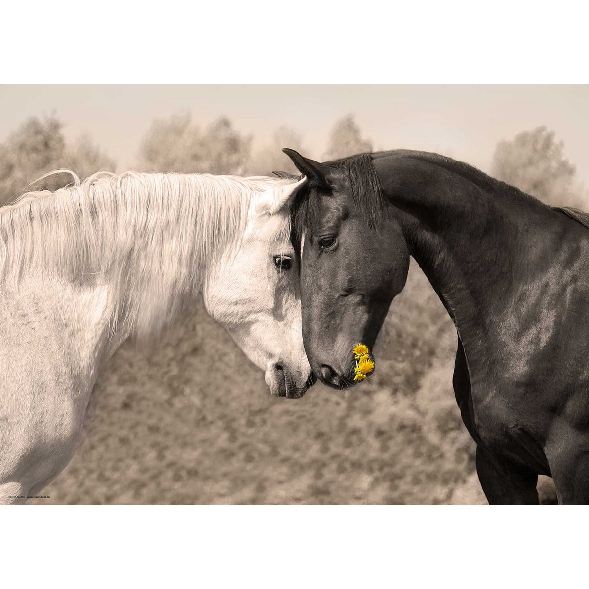 Loving horses - desk pad 70 x 50 cm