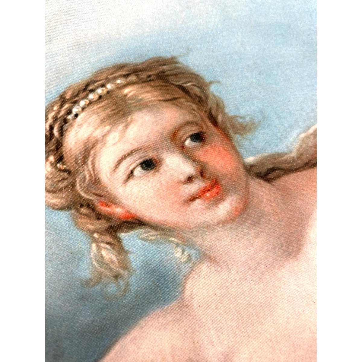 Kussenhoes Venus on the Waves | ROC004