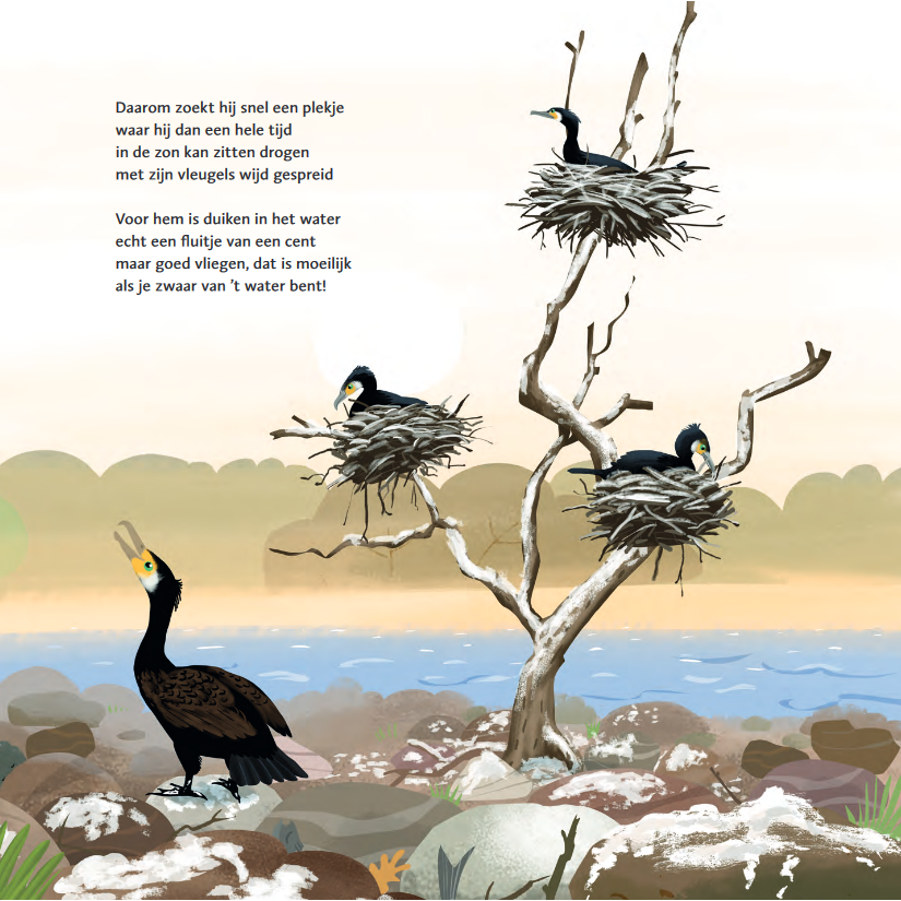 Marianne Busser & Ron Schröder - The thick bird book