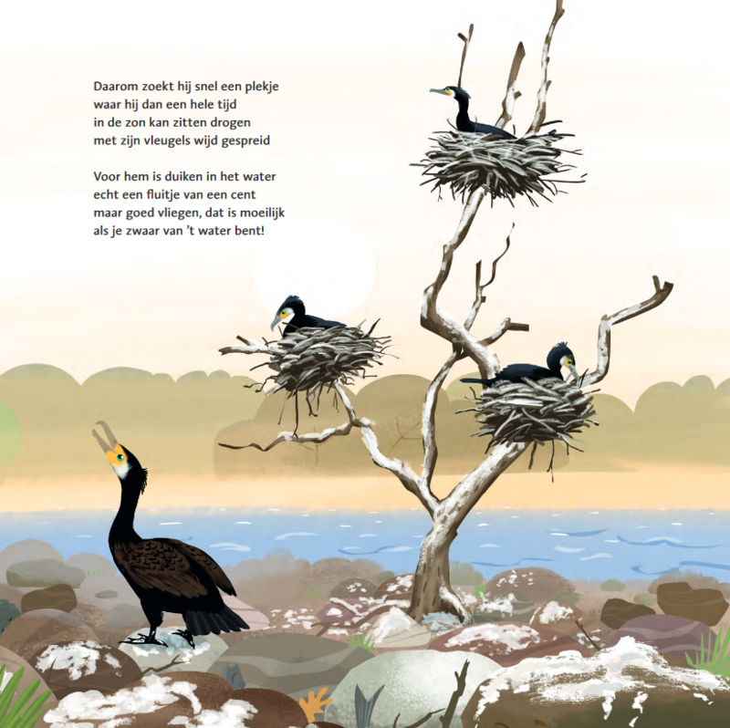 Marianne Busser & Ron Schröder - The thick bird book
