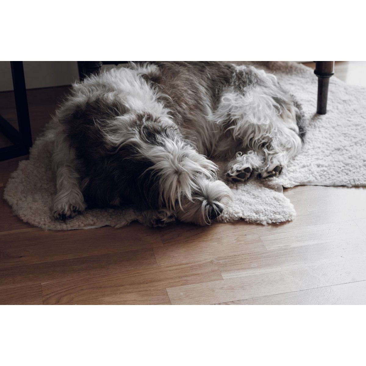 Piel de oveja rizada Beige