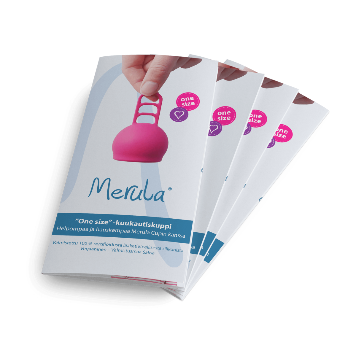 Merula flyer