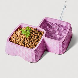 Ne & No® Bamboo Double Bowl para gatos y perros