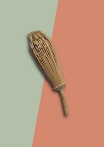 Jungle toothpick