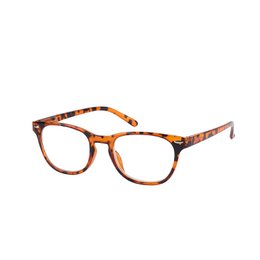 24 Lunettes Loupe de Lecture - +2.00