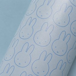 IZY Bottle 500ml x Miffy - Mono