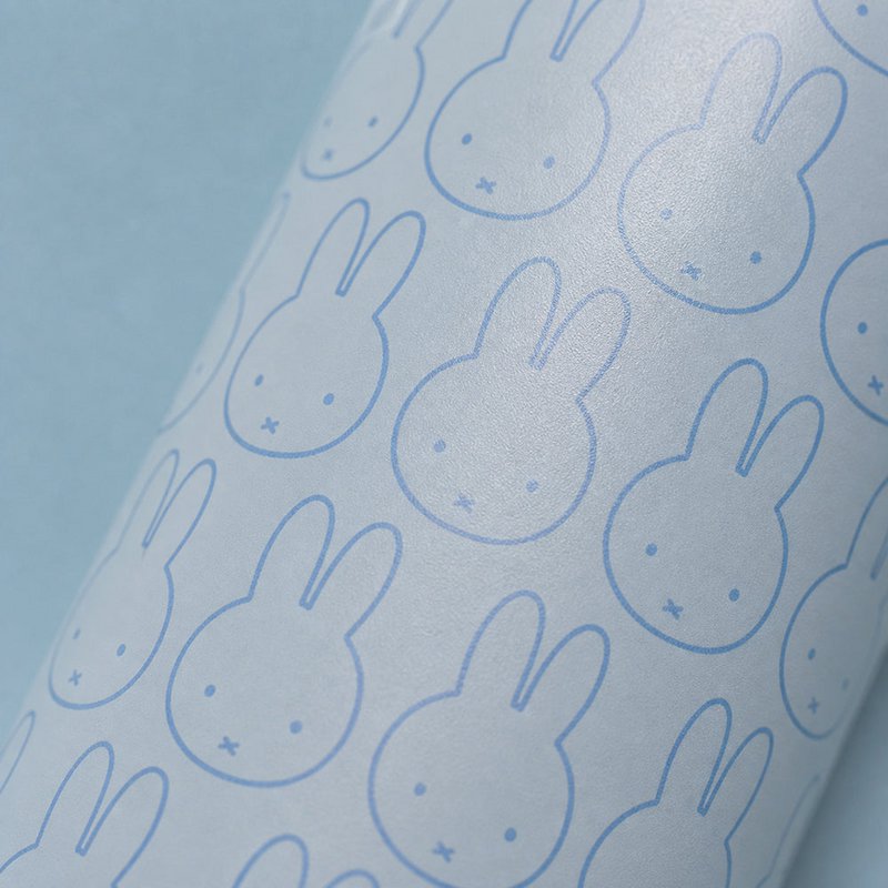 IZY Bottle 500ml x Miffy - Mono