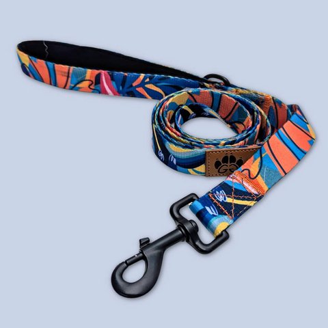 Lagon dog leash