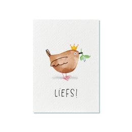 A postcard featuring a cute illustration of a bird with a crown, holding a flower, with the text "Liefs!" (Dutch for "Love!"). The postcard is part of the "Cards with Pictures" category.