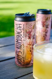 Rudys Alive Pear Kombucha (24x330ml)