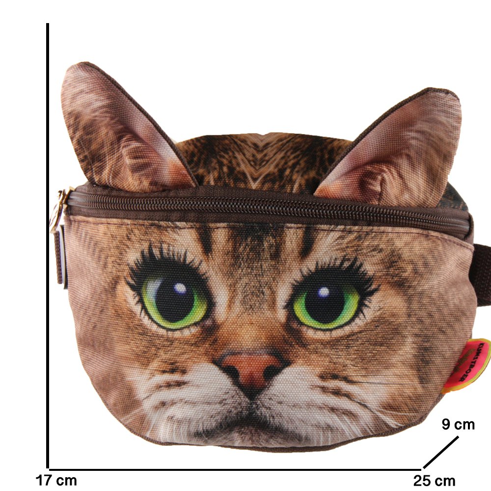 Gatto in borsa con orecchie, carino e eccentrico