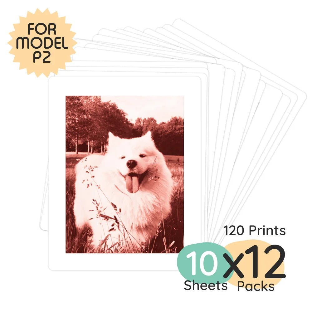 Model P2 Print Pack | 120 Udskrifter
