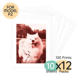 Model P2 Print Pack | 120 Prints
