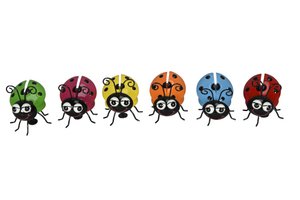 Beetle with magnet